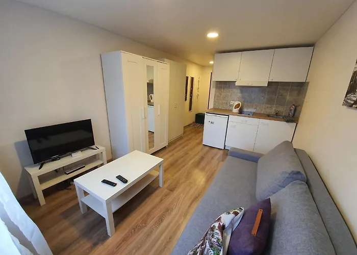 Апартаменты Akropolis For Клайпеда